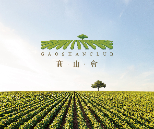長沙VI設計有哪些優秀的公司可以推薦
