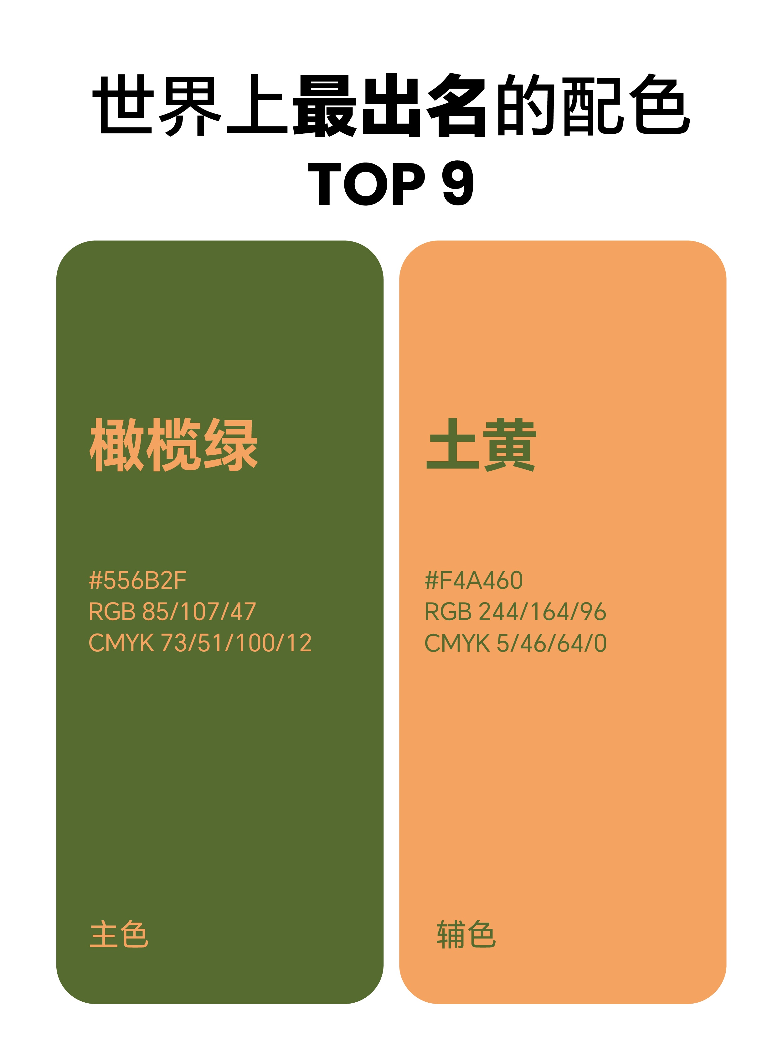 1753771247862495.jpg